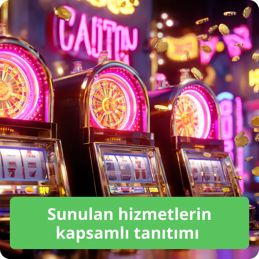 Sunulan hizmetlerin kapsamlı tanıtımı